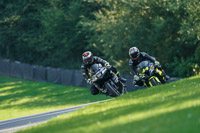 brands-hatch-photographs;brands-no-limits-trackday;cadwell-trackday-photographs;enduro-digital-images;event-digital-images;eventdigitalimages;no-limits-trackdays;peter-wileman-photography;racing-digital-images;trackday-digital-images;trackday-photos